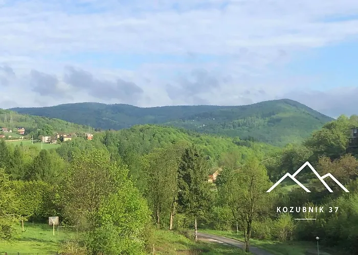 Kozubnik 37 Apartamento