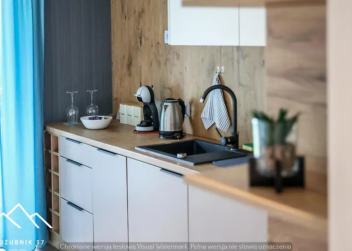 Apartamento Kozubnik 37